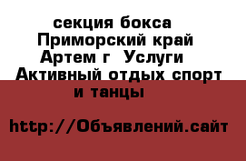 секция бокса - Приморский край, Артем г. Услуги » Активный отдых,спорт и танцы   